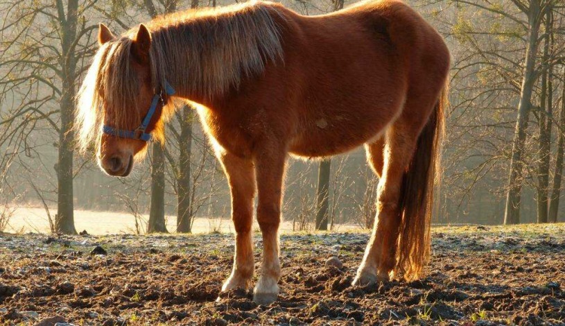 Penzion Hradisko Rožnov pod Radhoštěm